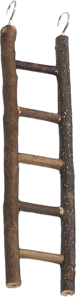 Steg 5 naturlig tre for undulat