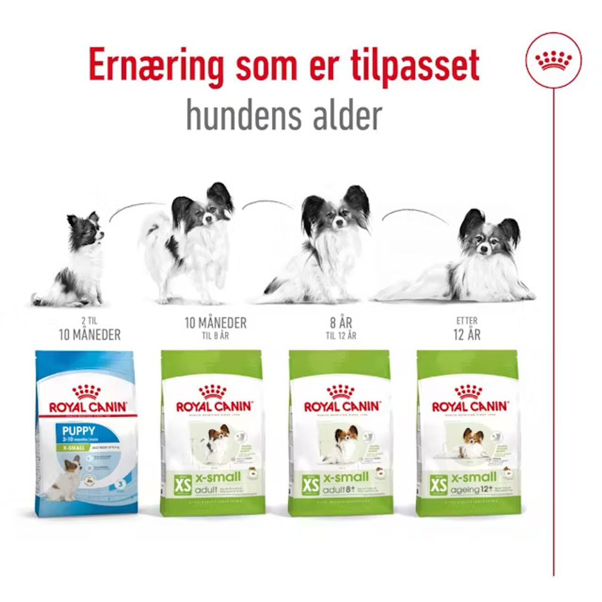 ROYAL CANIN XS Small Adult - 1,5kg
