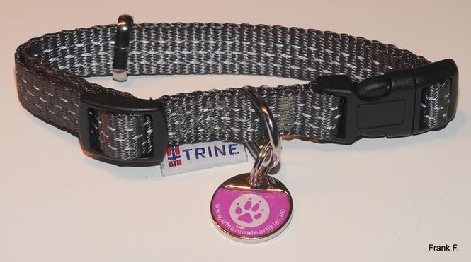 Hovedbilde Trygg Halsbånd Grå XS: 10mm/18-28cm