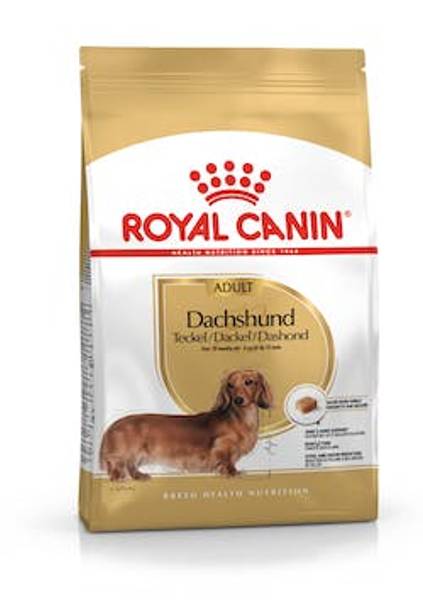 Hovedbilde Dachshund Adult 1,5kg
