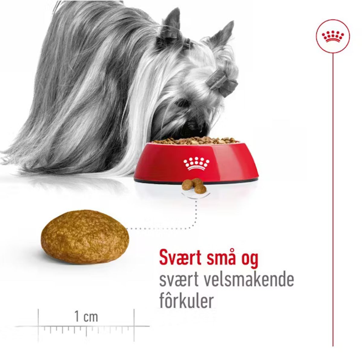 ROYAL CANIN XS Small Adult - 1,5kg