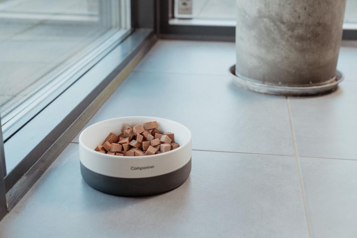 Companion+ FEAST Lam 350g | Saftig Hundefôrpølse