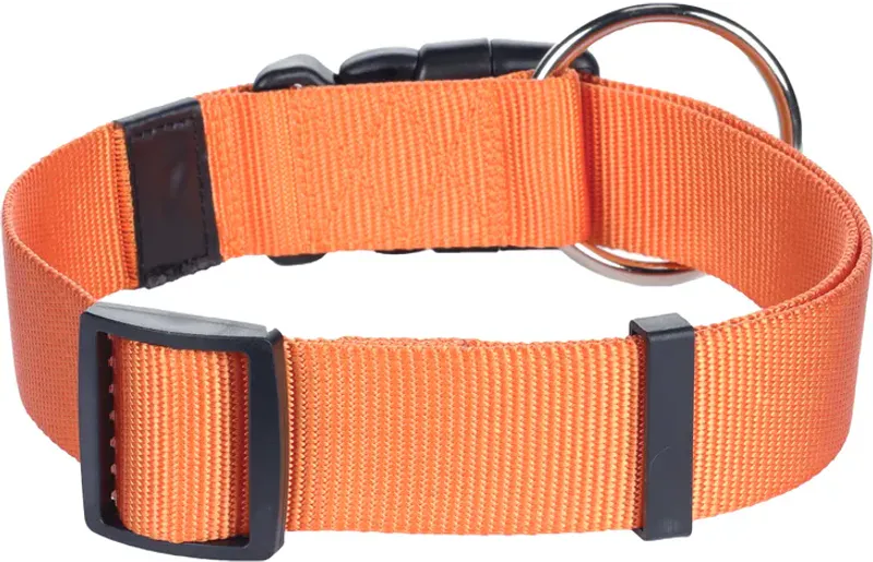 Halsbånd Nylon Oransje XL ( 4 x 55–75 cm )