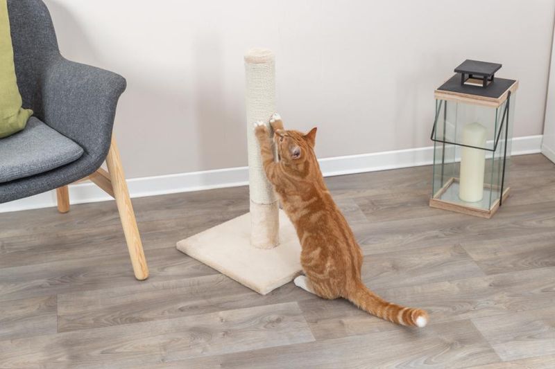 Trixie Batres Klorestolpe 62cm | Kraftig Jute & Plysj