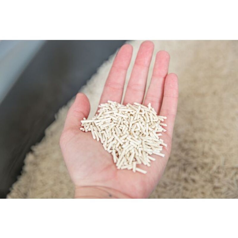 TRIXIE Tofu Clumping Litter 2,5 kg | Trygg for Kattunger
