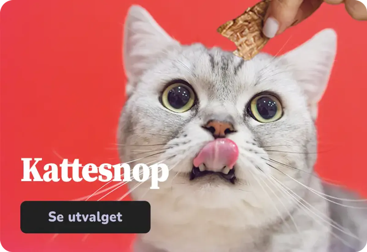 Kattesnacks og kattegodteri. Stort utvalg godbiter til katten