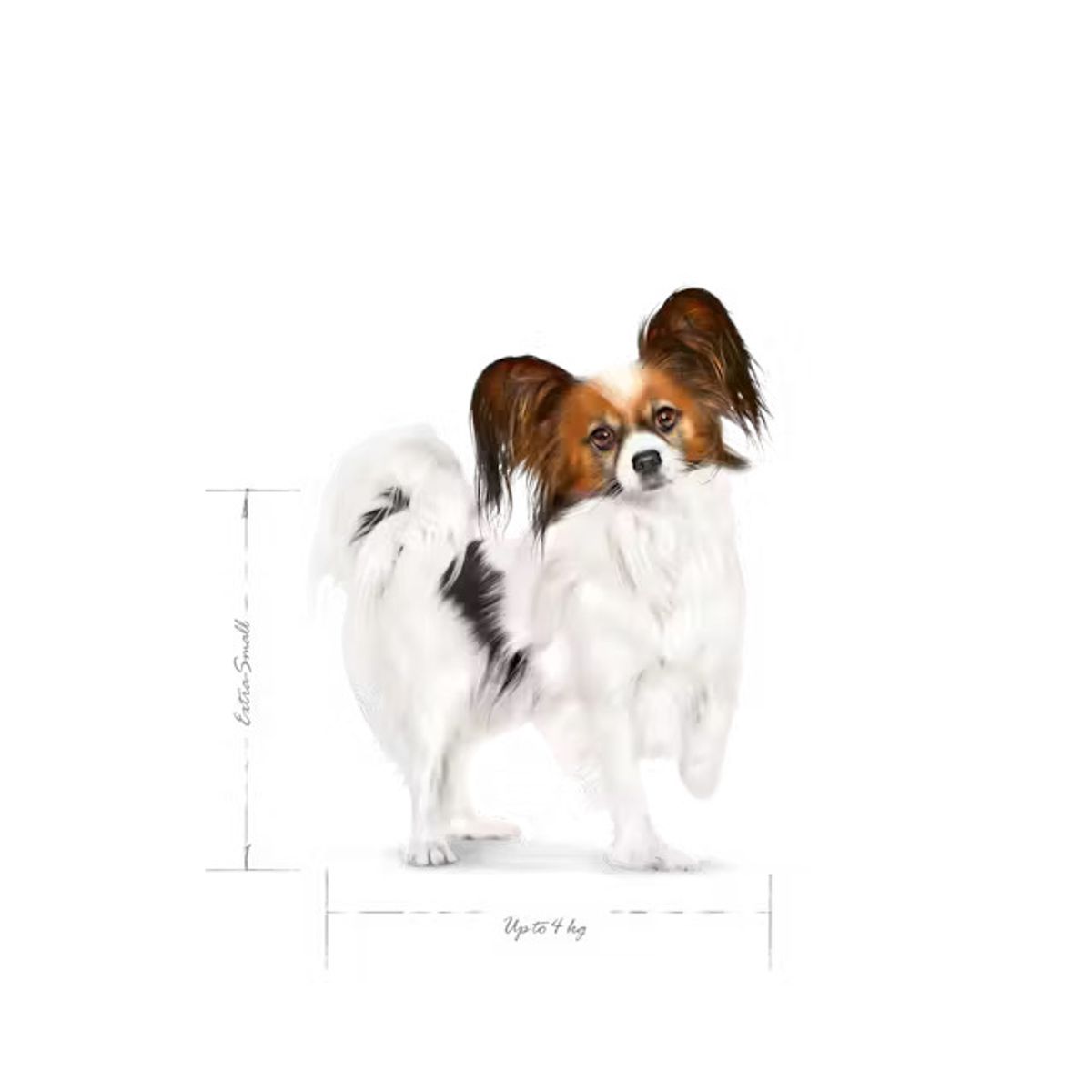 ROYAL CANIN XS Small Adult - 1,5kg