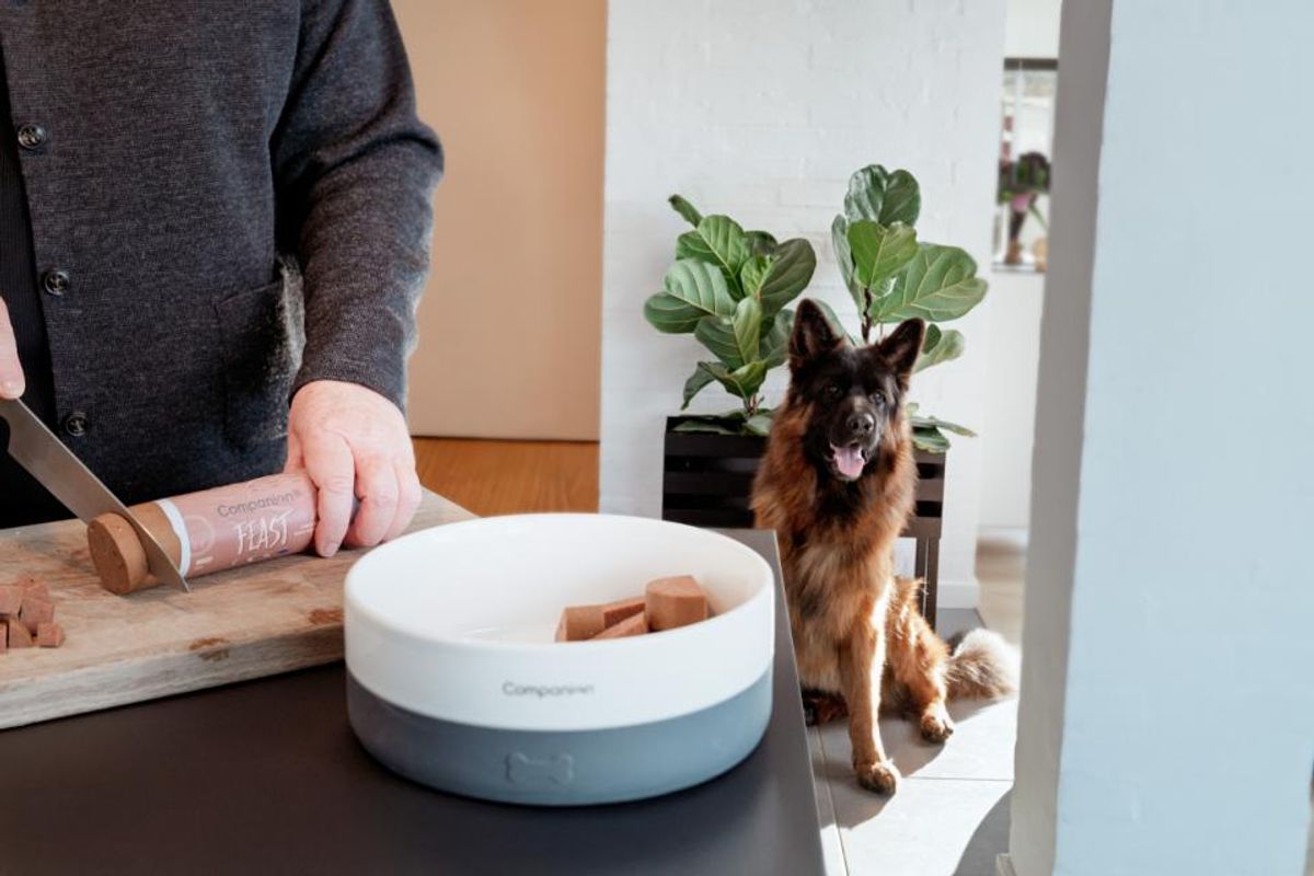 Companion+ FEAST Lam 350g | Saftig Hundefôrpølse